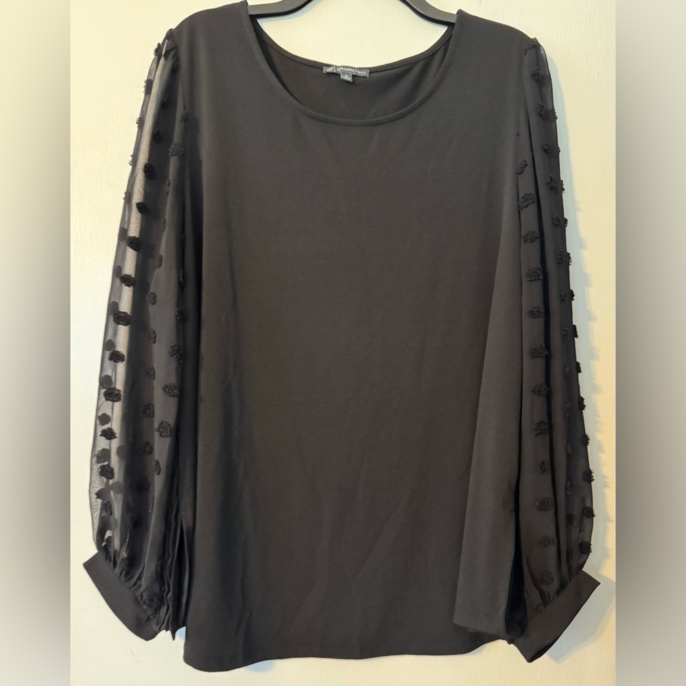 Adrianna Papell Black Blouse with Sheer Sleeves Size 2X